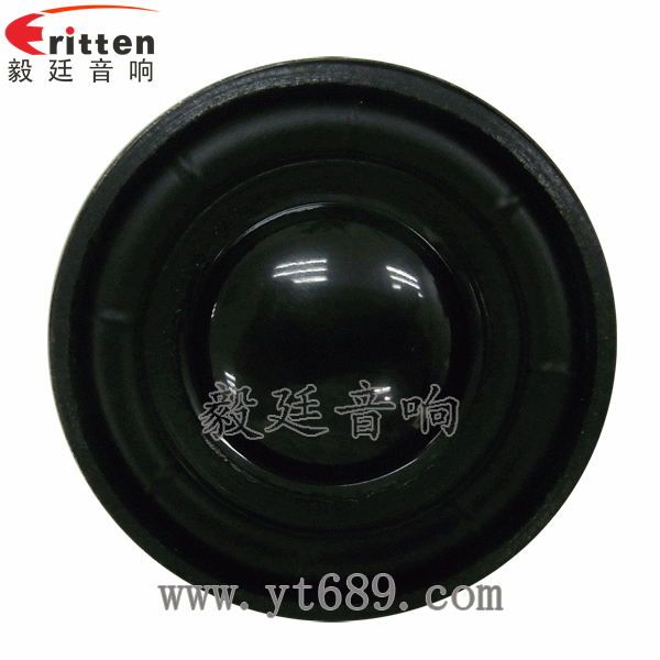 8''250w 重低音喇叭正面圖
