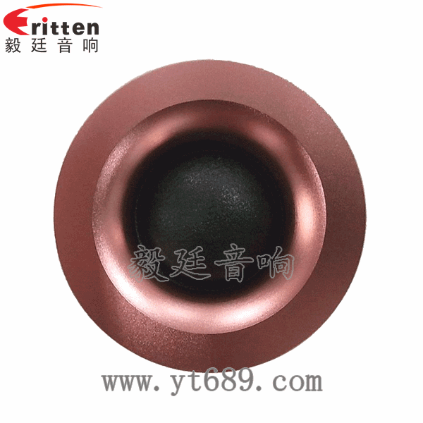 2.25寸15W25芯高音喇叭正面