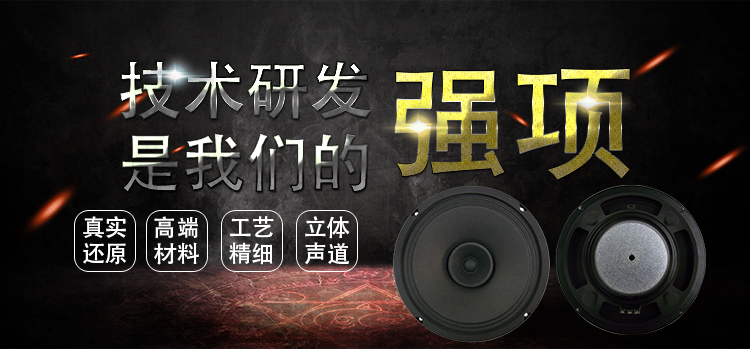 8寸25芯全頻汽車音響喇叭